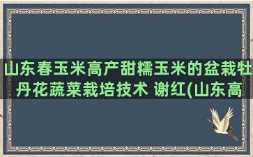 山东春玉米高产甜糯玉米的盆栽牡丹花蔬菜栽培技术 谢红(山东高产夏玉米新品种)